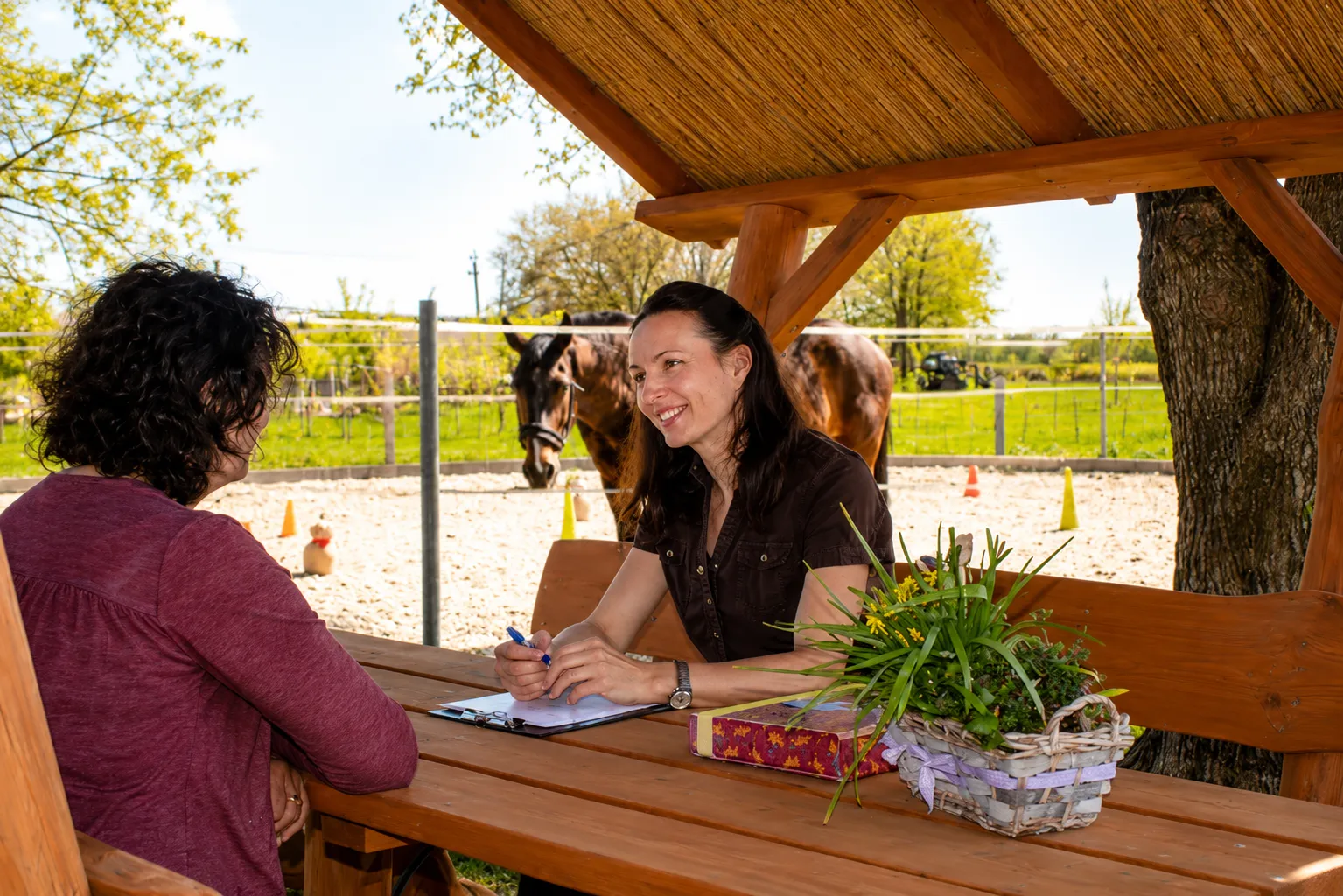 Coaching beszélgetés a fedett kerti asztalnál, a háttérben lóval