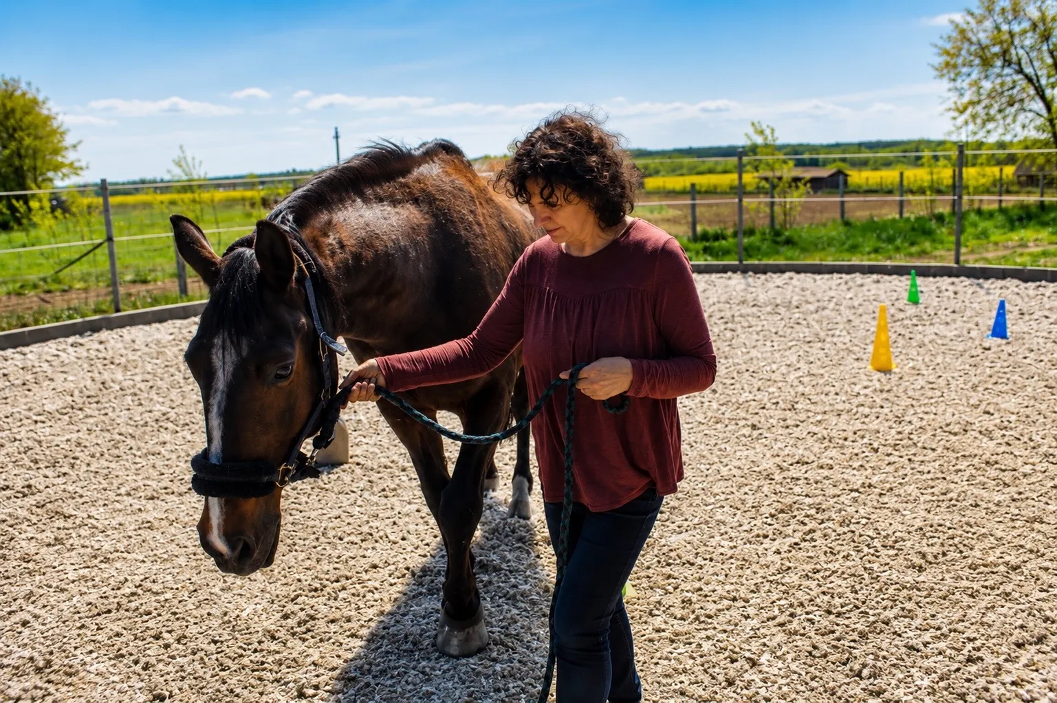 Élményalapú feladat a lóval: kliens vezetőszáron kíséri a lovat a pályán